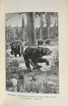 View Image 5 of 5 for Four Boys in the Yellowstone: How They Went and What They Did Inventory #2222725