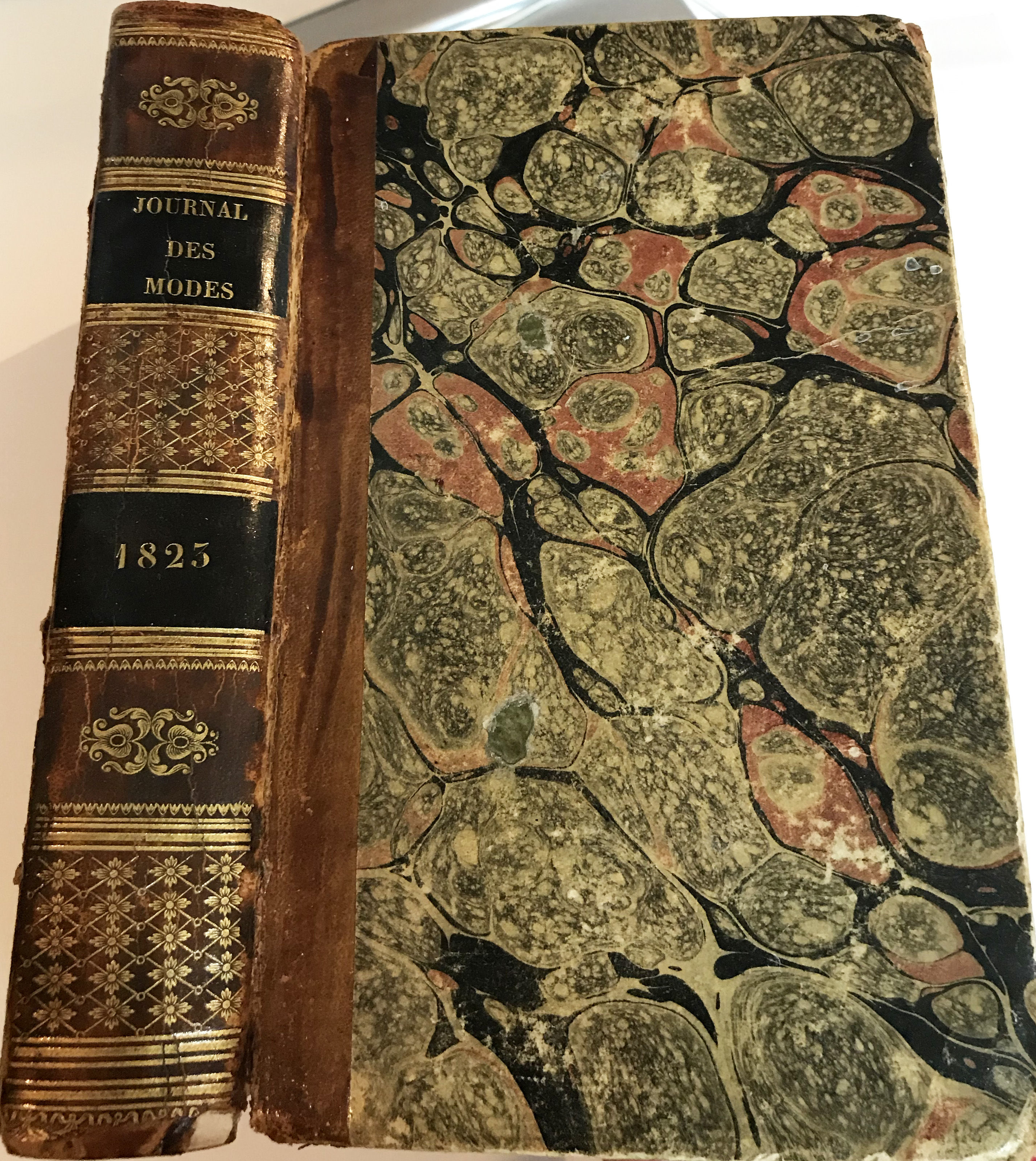 Journal des Dames et des Modes 1823 by Pierre de la Mésangère