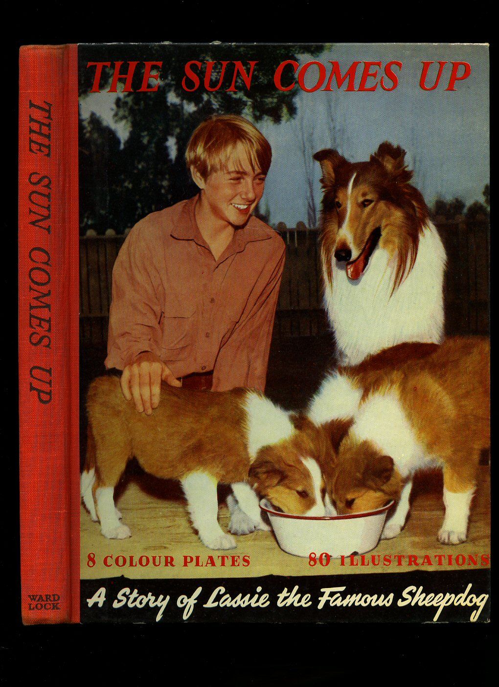 The Sun Comes Up A Story Of Lassie The Famous Sheepdog With Text Based