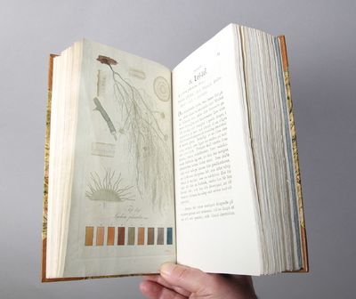 Svenska lafvarnas färghistoria, eller sättet att använda dem till färgning och annan hushållsnytta. Första bandet (Alt som kom). (photo 2)