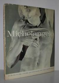 MICHELANGELO