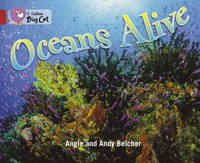 Oceans Alive: Band 14/Ruby (Collins Big Cat)