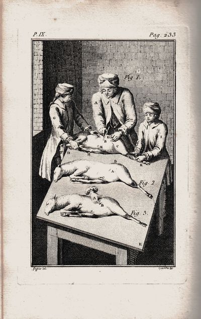 Instruction pour les bergers et pour les propiétaires des troupeaux