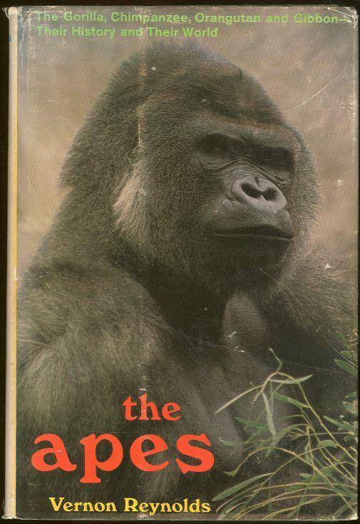 Reynolds, Vernon - Apes the Gorilla, Chimpanzee, Orangutan, and Gibbon- Their History and Their World