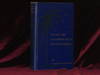 Under the Southern Cross in South America