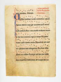TEXT IN LATIN