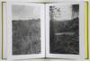 Alders. Photographs by Robert Adams [ONE PICTURE BOOK SERIES -- SIGNED]; Poems by Carolyn Dunn