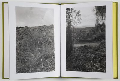 Alders. Photographs by Robert Adams [ONE PICTURE BOOK SERIES -- SIGNED]; Poems by Carolyn Dunn