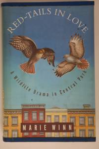 Red-Tails in Love: A Wildlife Drama in Central Park