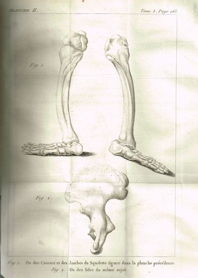 Principes de physiologie, ou introduction à la science expérimentale, philosophique et médicale de l'homme vivant. 1-4. (photo 3)