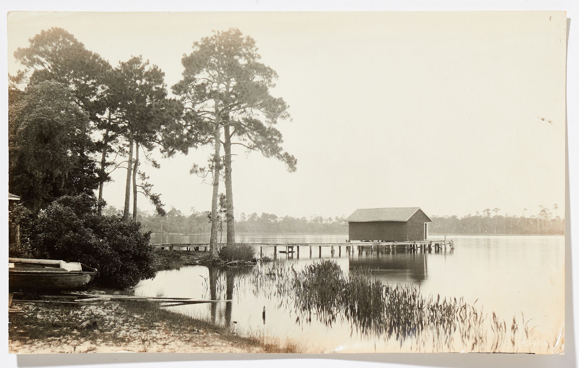 (Photo album): Professional Nature Photography of