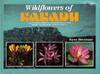 Wildflowers of Kakadu