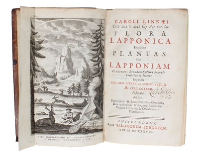 Flora Lapponica exhibens Plantas per Lapponiam…