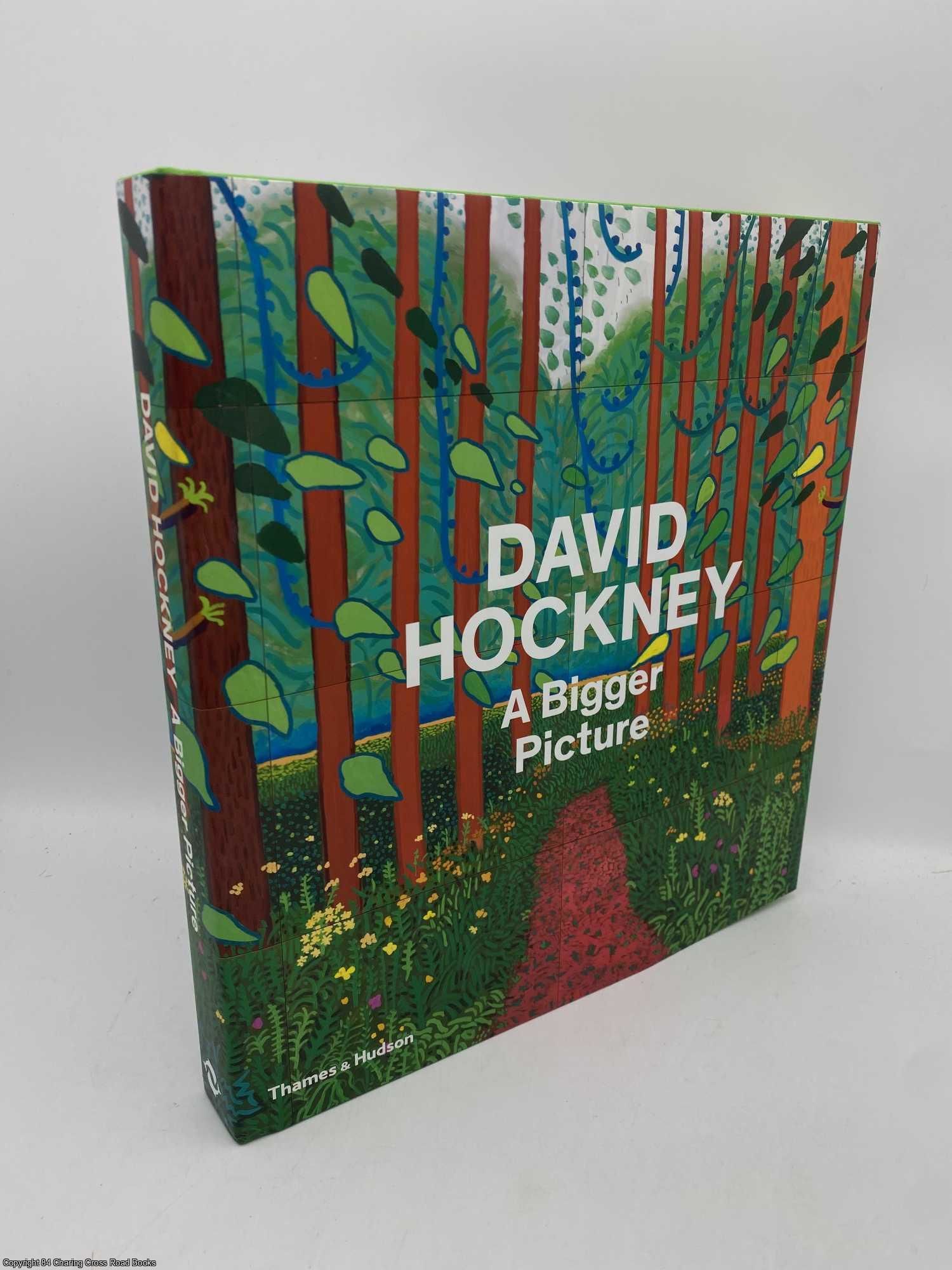David Hockney: A Bigger Picture. Tim Barringer  [Et Al.] by