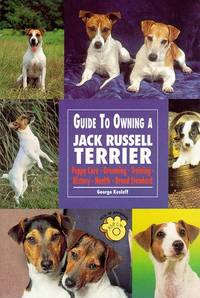 The Guide to Owning a Jack Russell Terrier (