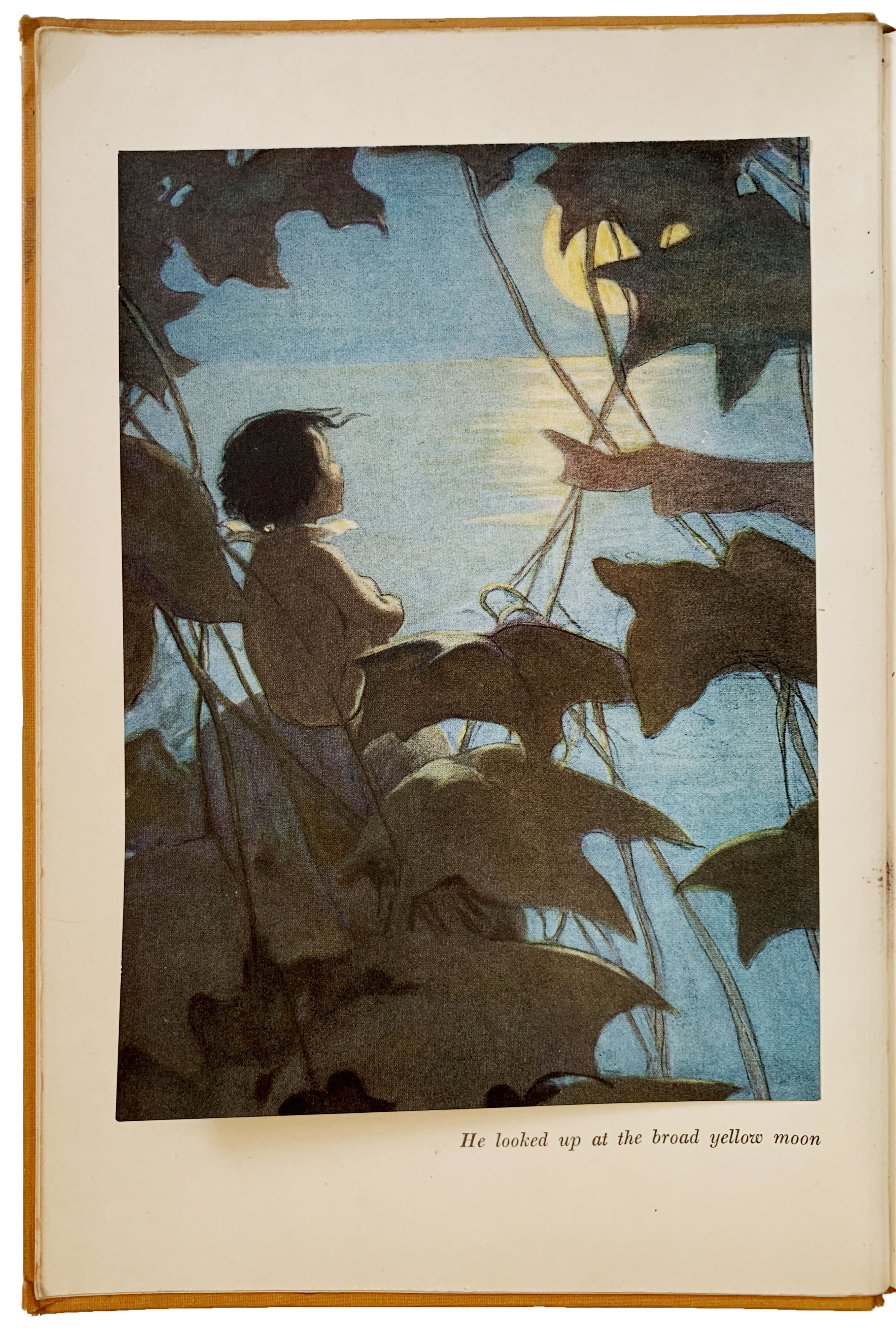 The Water Babies. Illustrated by Jessie Willcox Smith. by KINGSLEY