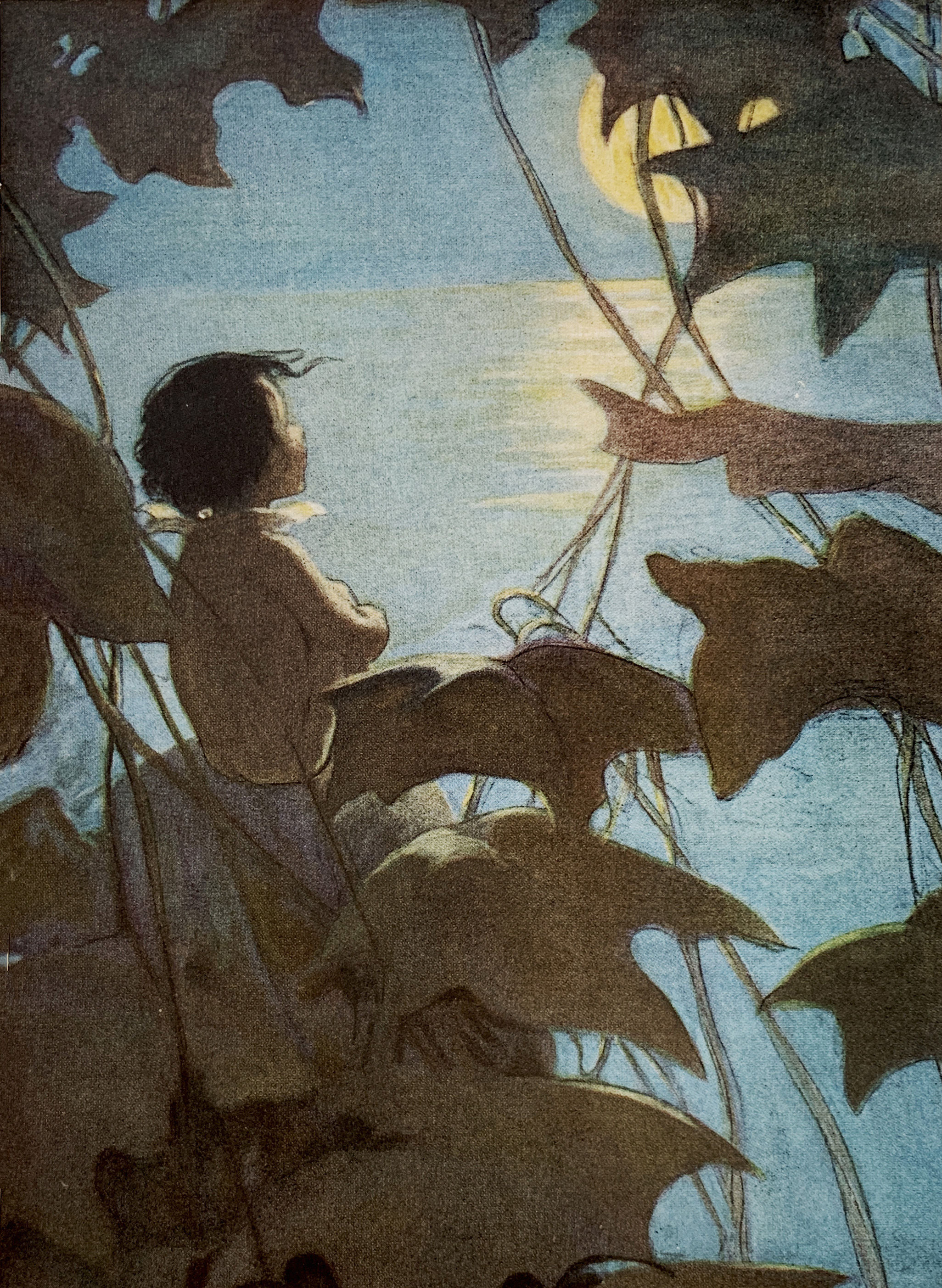 The Water Babies. Illustrated by Jessie Willcox Smith. by KINGSLEY