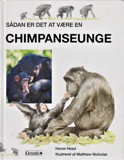 Sådan er det at være en chimpanseunge