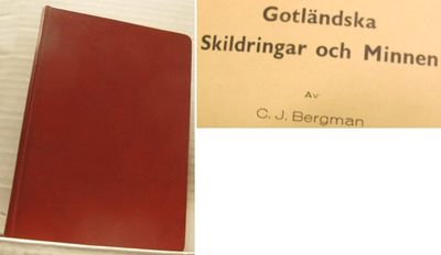 Gotländska skildringar och minnen.