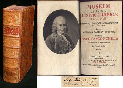 Museum s:æ r:æ m:tis Ludovicæ Ulricæ reginæ…