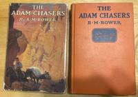 cover of The Adam Chasers