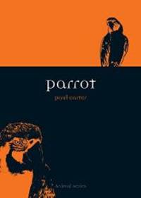 Parrot (Animal) by Paul Carter - 2006-09-04