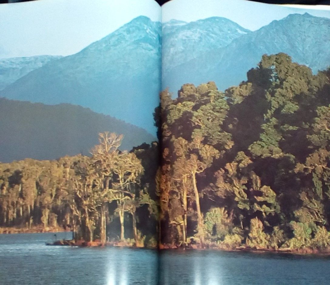 A Day in the Life of New Zealand by McGregor, Malcolm, Ed