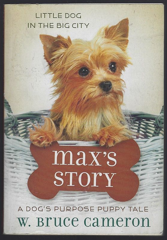 MAX'S STORY