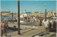 Happy Fishermen, Westport, Washington, unused Postcard