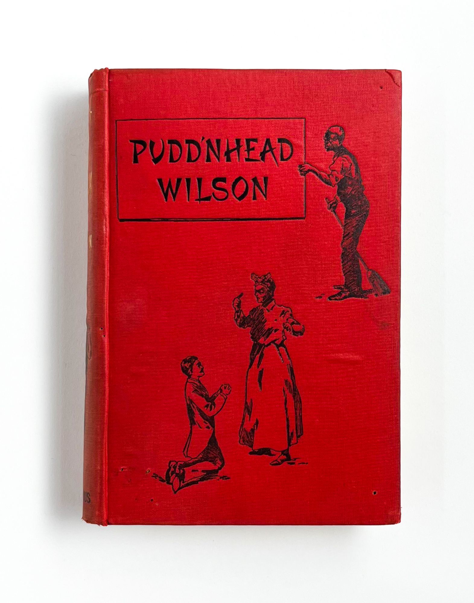 PUDD'NHEAD WILSON by Mark Twain First Edition 1894 from Type