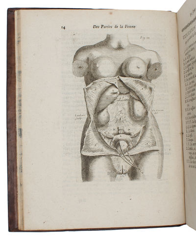 Traité des maladies des femmes grosses et de celles qui sont accouchées (...). Tome Premier (+) Observations sur la grossesse et l'accouchement des femmes et sur leurs maladies et celles des enfans nouveau-nés en chacune desquelles les causes et les ... - [“ESTABLISHED OBSTETRICS AS A SCIENCE"] (photo 4)