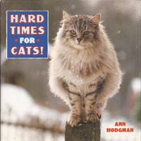image of Hard Times for Cats!