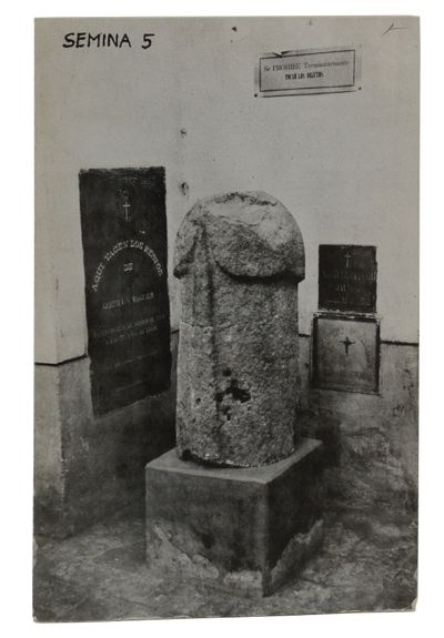 Semina 5