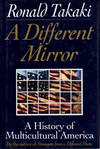A Different Mirror