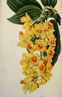 Paxton's Magazine of Botany and Register of Flowering Plants: Volume the Fifth