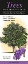 Trees of Central Texas: A Guide to Common Native Species (Quick Reference Guides) by Robert O'Brien - 2009-07-01