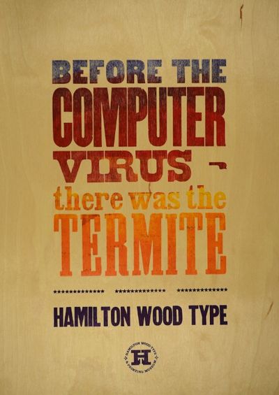Before the computer virus there was the termite