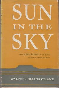 cover of Sun in the Sky