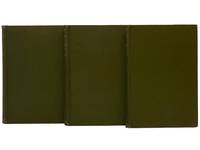 The History of Tom Jones, a Foundling, in Three Volumes (Illustrated Library Edition)