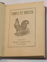 image of FRANK'S PET ROOSTER.