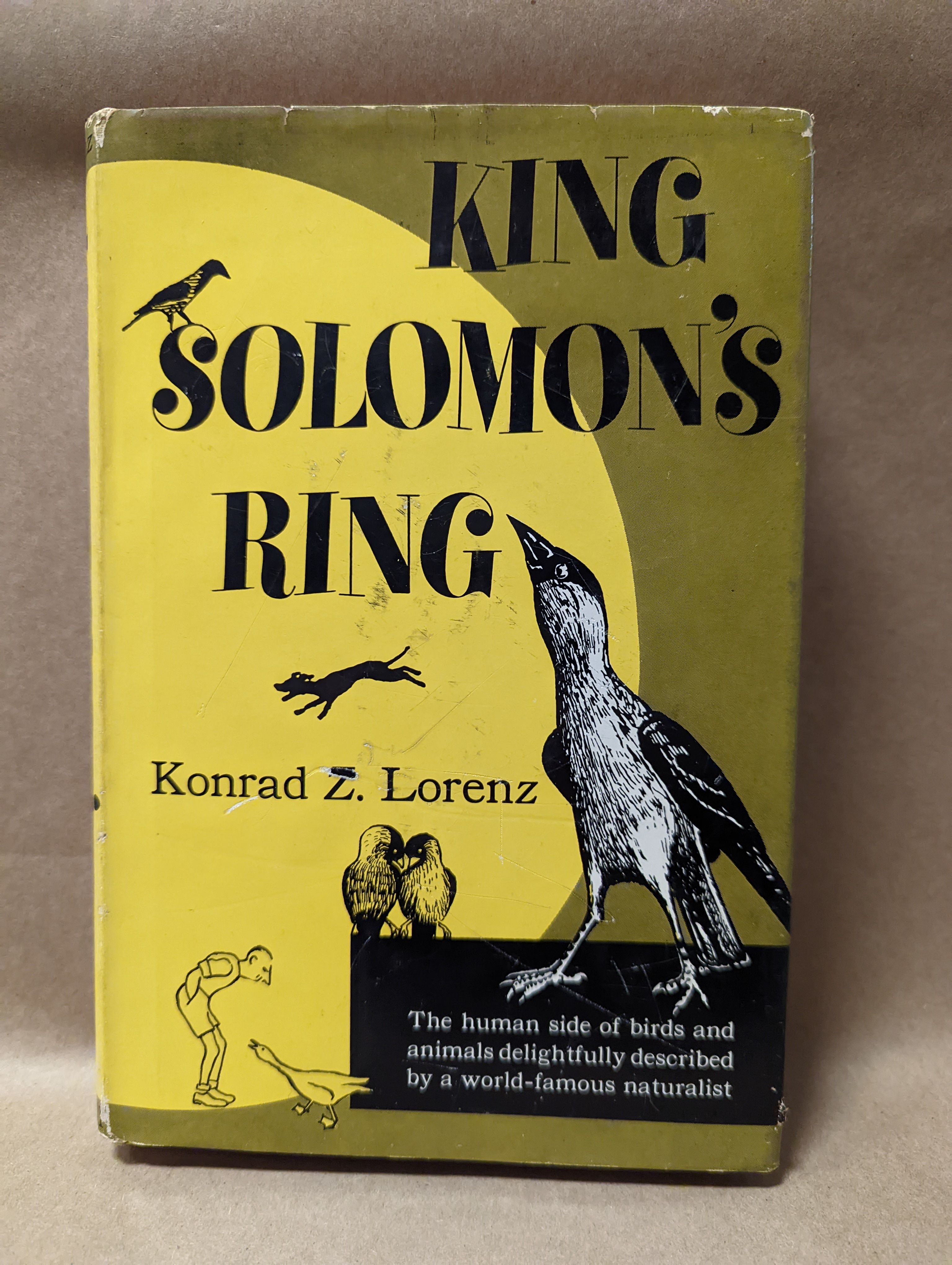 King Solomon