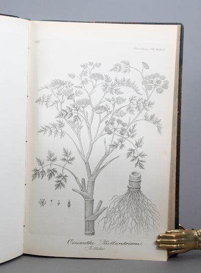 Icones Plantarum Officinalium Scandinaviae. De skandinaviske Lægeplanter, fremstillede efter Tavlerne i “Flora Danica”. Two volumes. (photo 3)