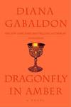 Dragonfly In Amber