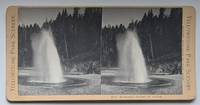 Economic Geyser in Action. 4542. [Stereoview]