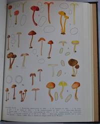 image of Flore Iconographique des Champignons du Congo. Fascicules 9-17
