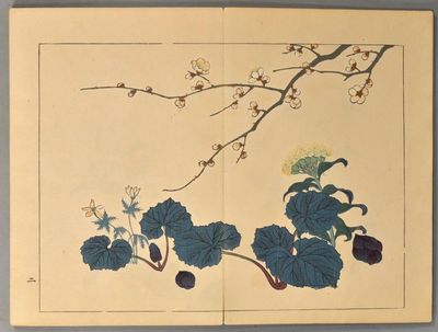 SHIKI NO HANA