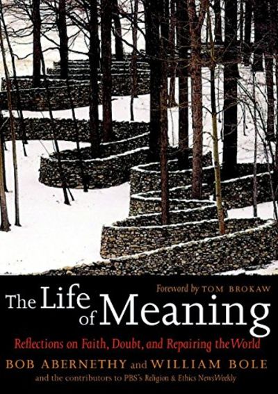 The Life Of Meaning Reflections On Faith Doubt And Repairing The World By William Bole Bob