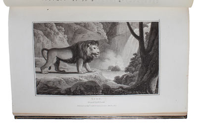 Zoography; or the Beauties of Nature Displayed. In select Descriptions from the Animal, and vegetable, with Additions from the Mineral Kingdom. Systematically arranged. Illustrated with Plates, designed and engraved by William Daniell. 3 Vols. (photo 3)