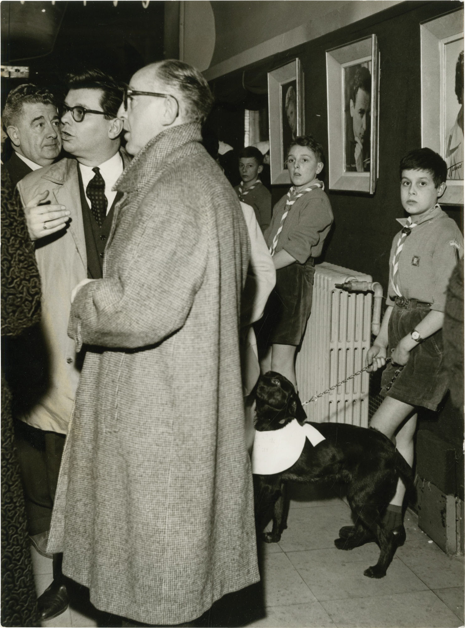 Old Yeller [Le Fidele Vagabond] (Collection of 6 press photographs