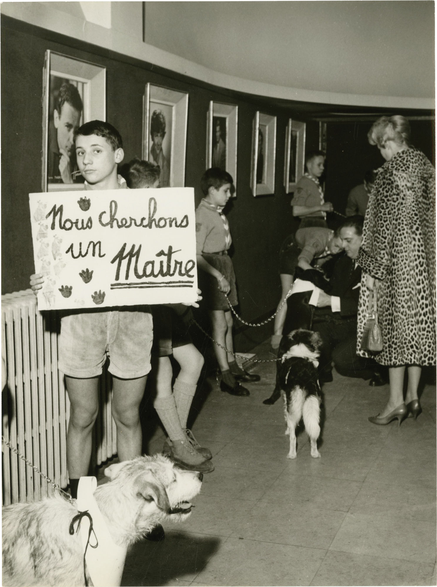 Old Yeller [Le Fidele Vagabond] (Collection of 6 press photographs